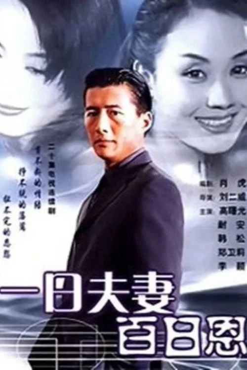 一日夫妻百日恩(1998)海報