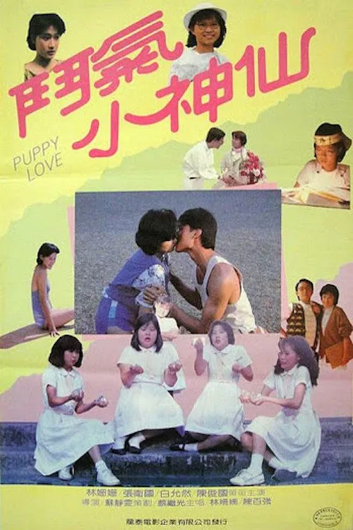 鬥氣小神仙(1985)海報