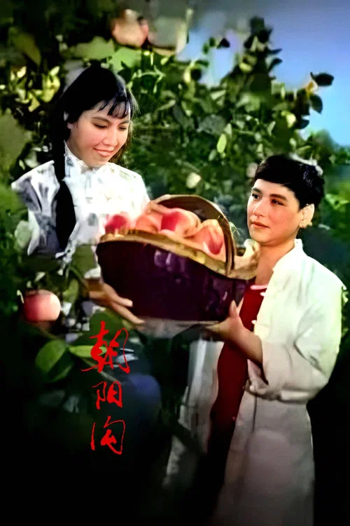 朝阳沟(1963)海报