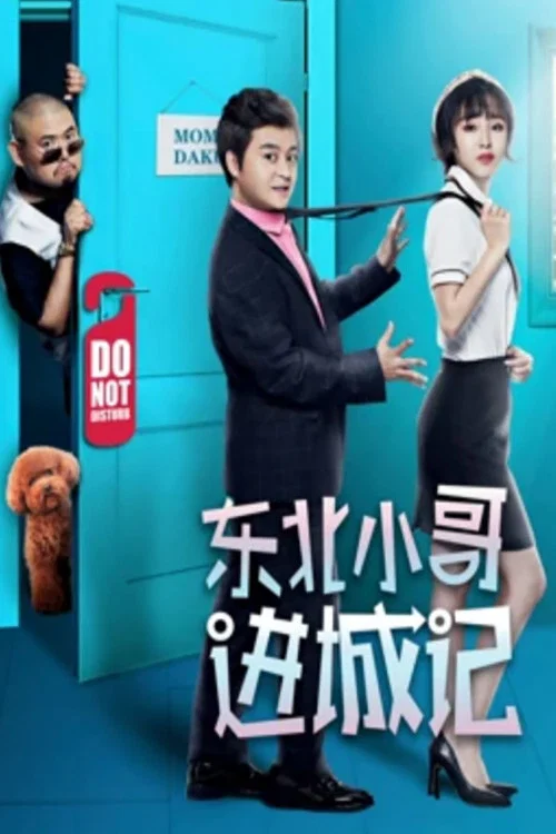 东北小哥进城记(2019)海报