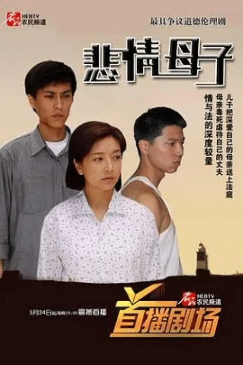 悲情母子(2006)海報