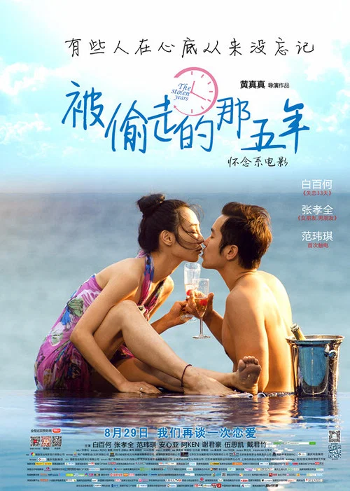 被偷走的那五年(2013)海报