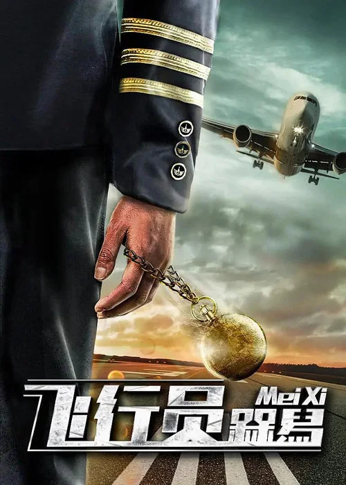 飛行員呆呆鳥(2019)海報