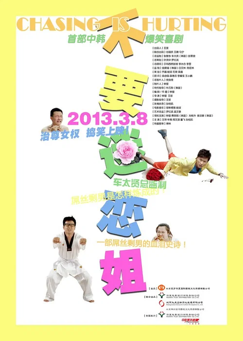 不要迷戀姐(2013)海報