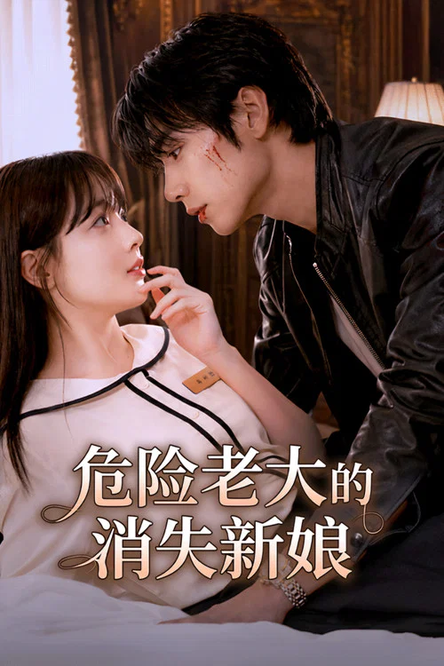 消失的新娘(2026)海報
