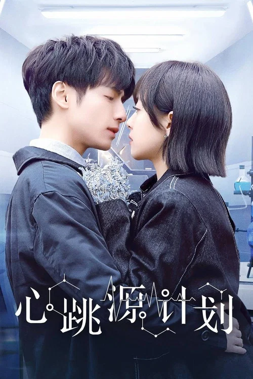 遇见你遇见光(2021)海报