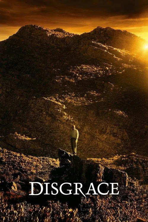 耻(2008)海报
