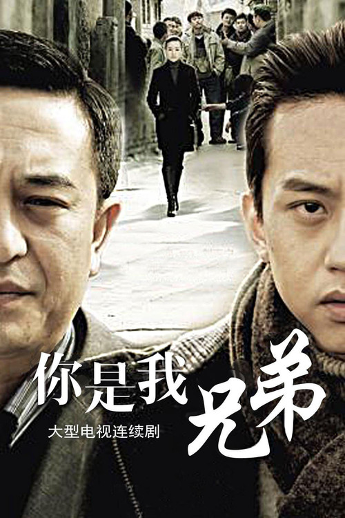 你是我兄弟(2011)海报