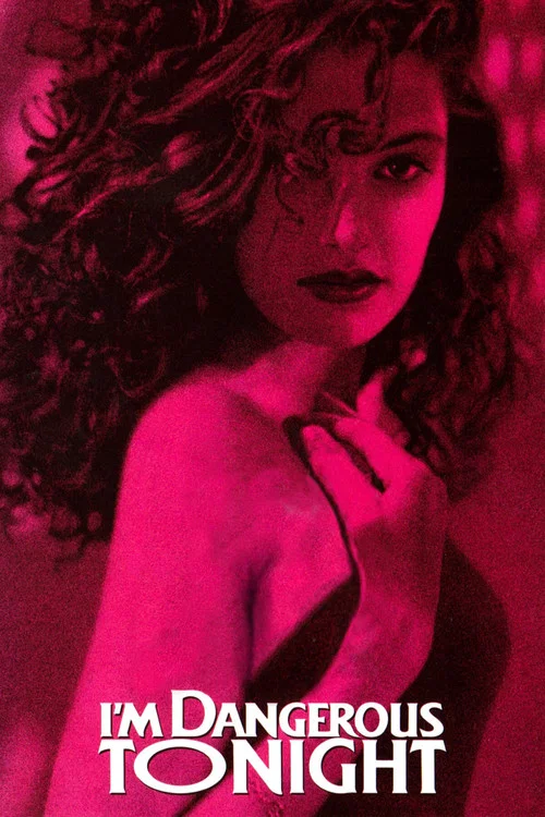 我的危险夜(1990)海报