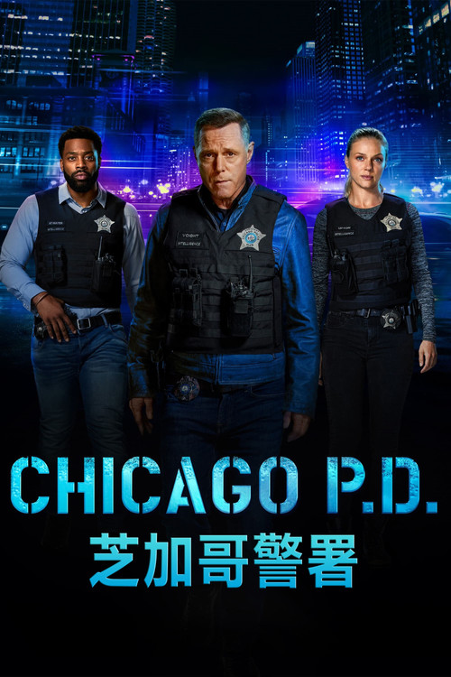 芝加哥警署第二季剧照2