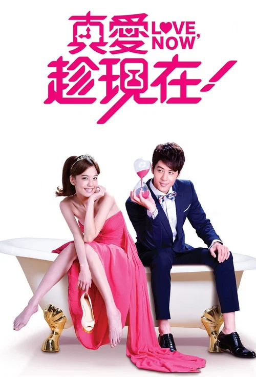 真愛趁現在(2012)海報