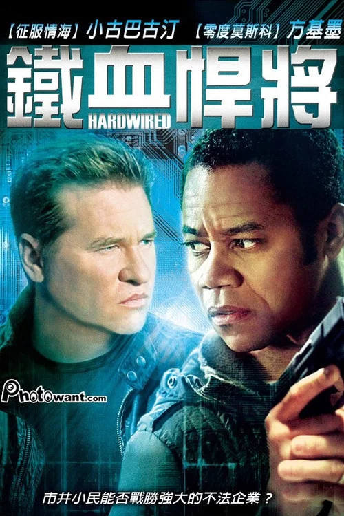 智能谍变(2009)海报