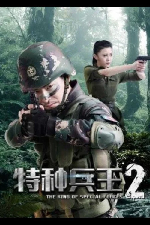 特種兵王2使命抉擇(2017)海報