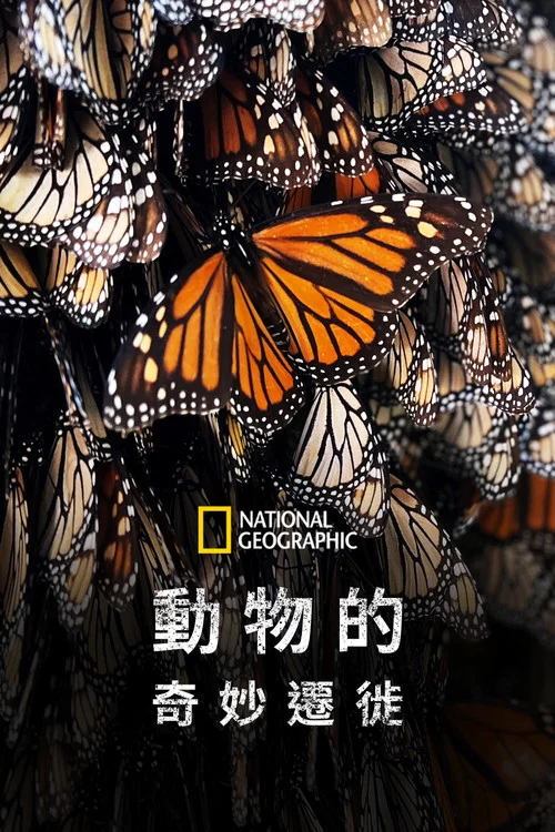 生靈奇旅(2023)海報