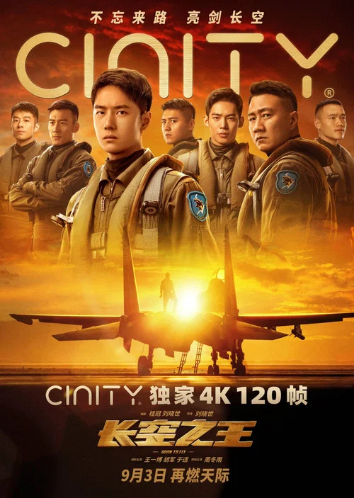 長空之王劇照14