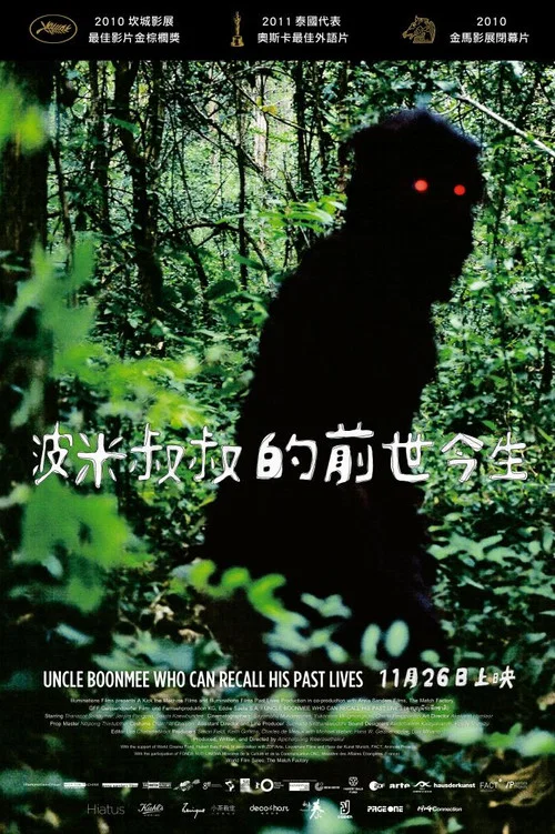 能召回前世的布米叔叔(2010)海报