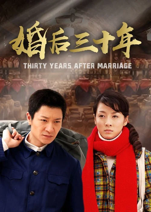 婚後三十年(2009)海報