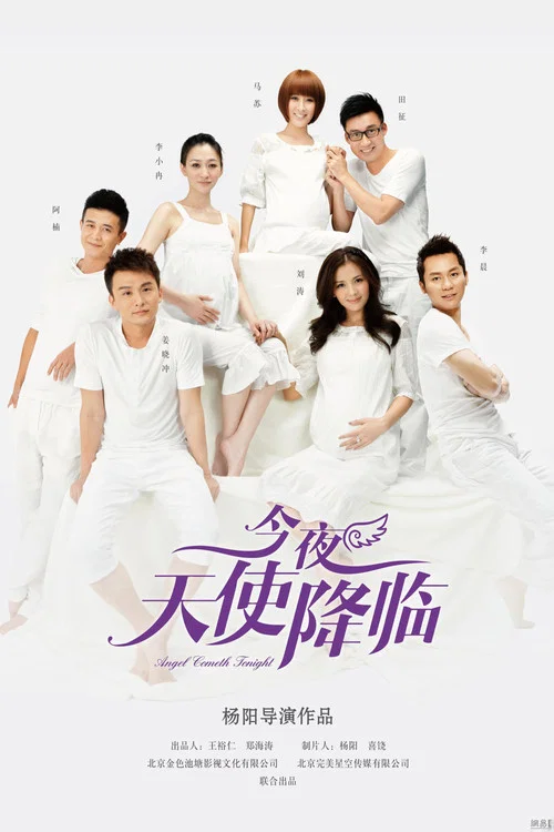 今夜天使降临(2013)海报