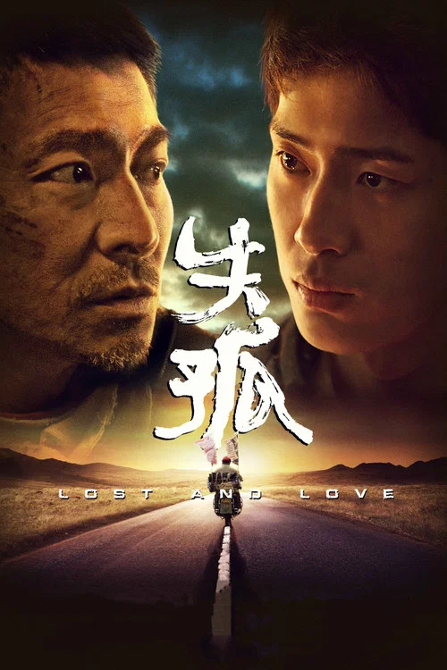 失孤(2015)海報