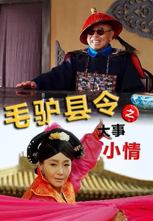 毛驴县令之大事小情(2014)海报