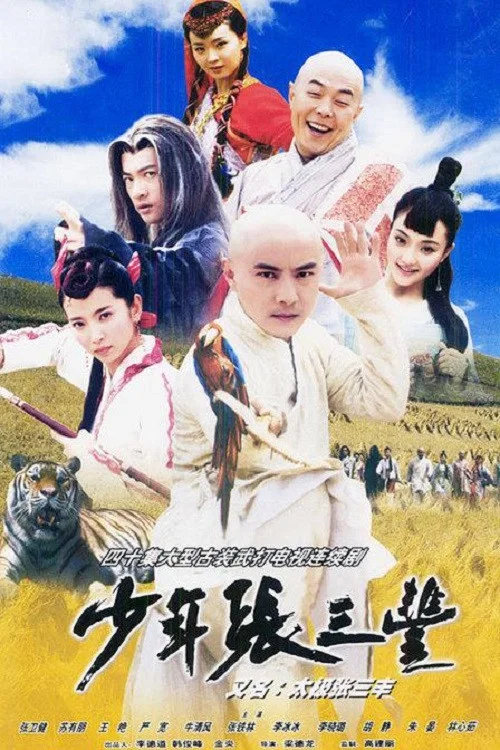 少年張三丰(2001)海報