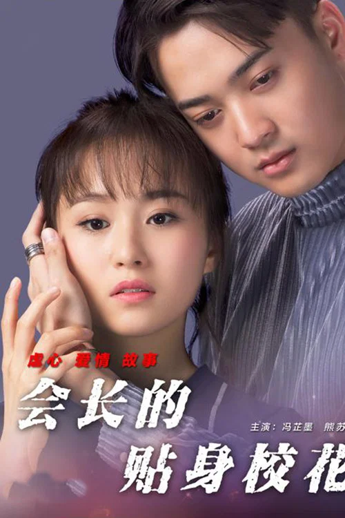 会长的贴身校花(2017)海报