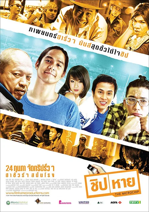 疯狂的芯片(2011)海报