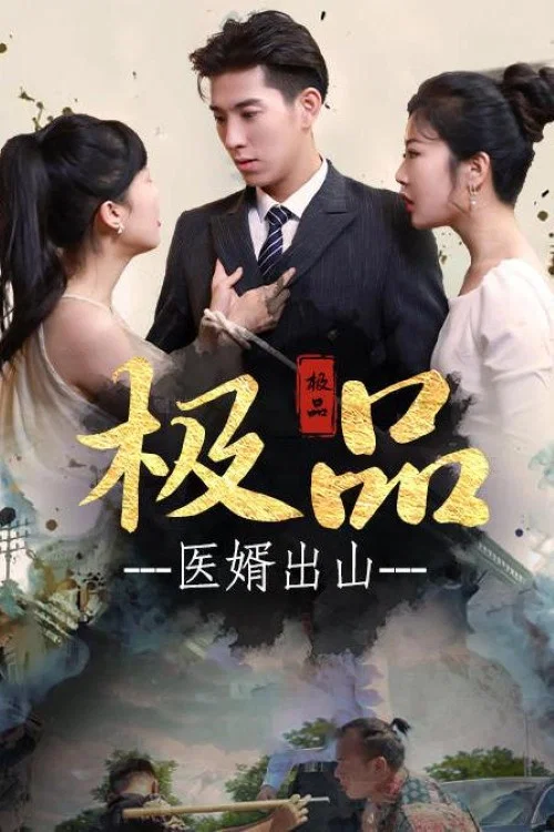 极品医婿出山(2023)海报