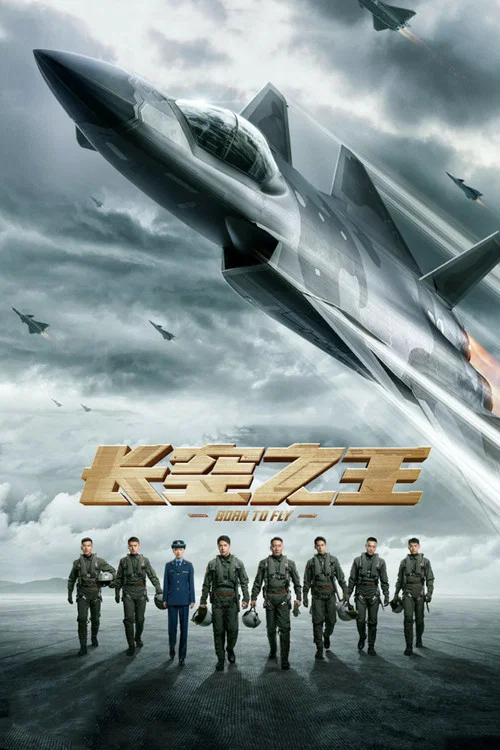 長空之王劇照3