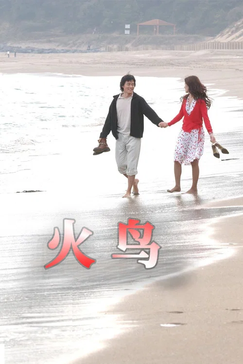 火鳥(2004)海報
