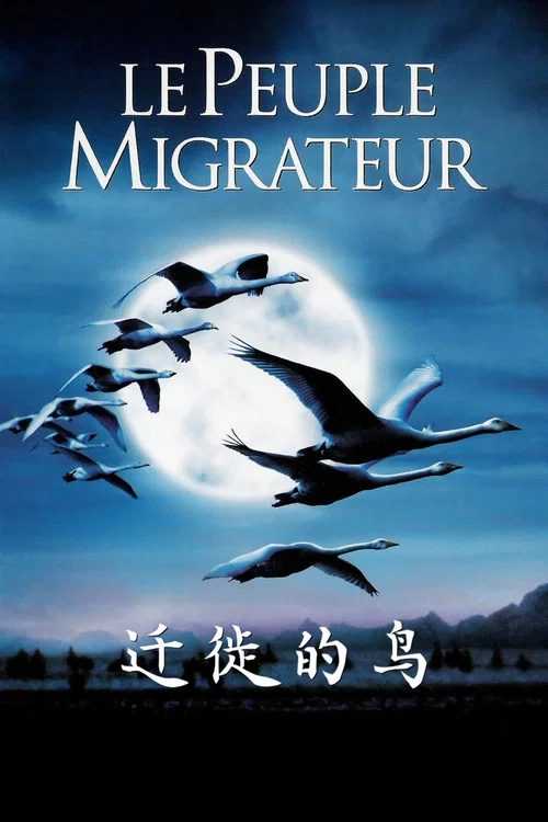 迁徙的鸟(2001)海报