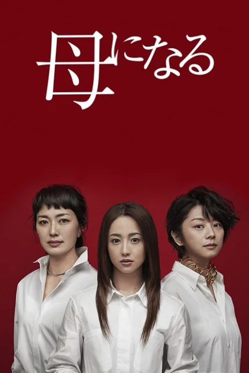 成為母親(2017)海報