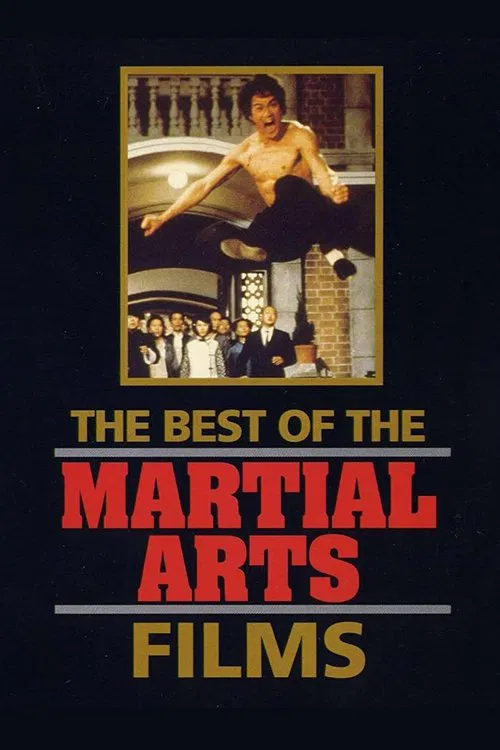 金装武术电影大全(1990)海报
