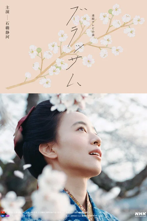 花朵盛開(2026)海報