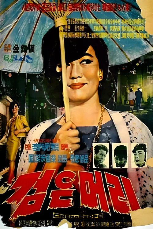 黑頭髮(1964)海報