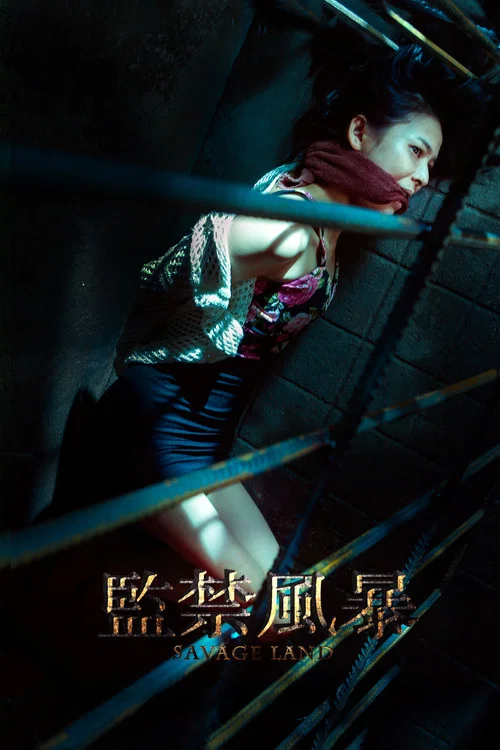 监禁风暴(2016)海报