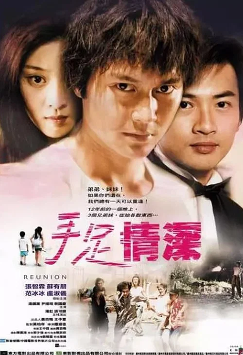 手足情(2002)海报