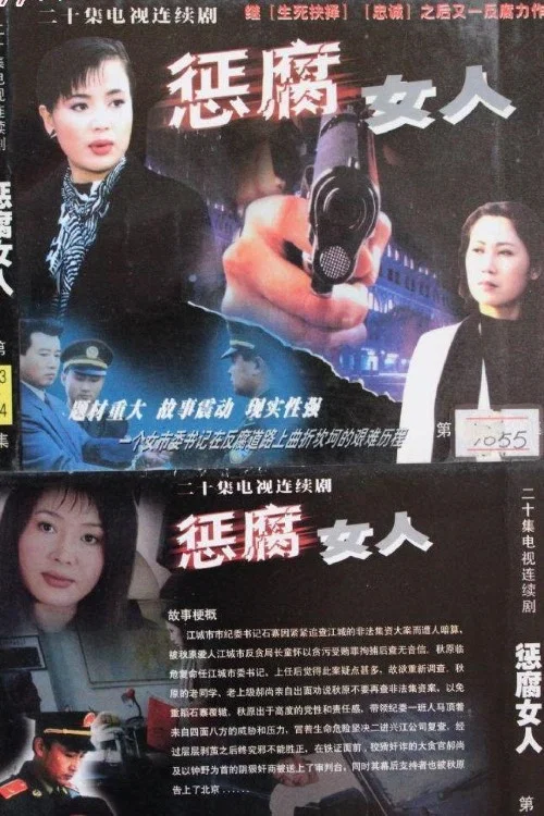 惩腐女人(2004)海报