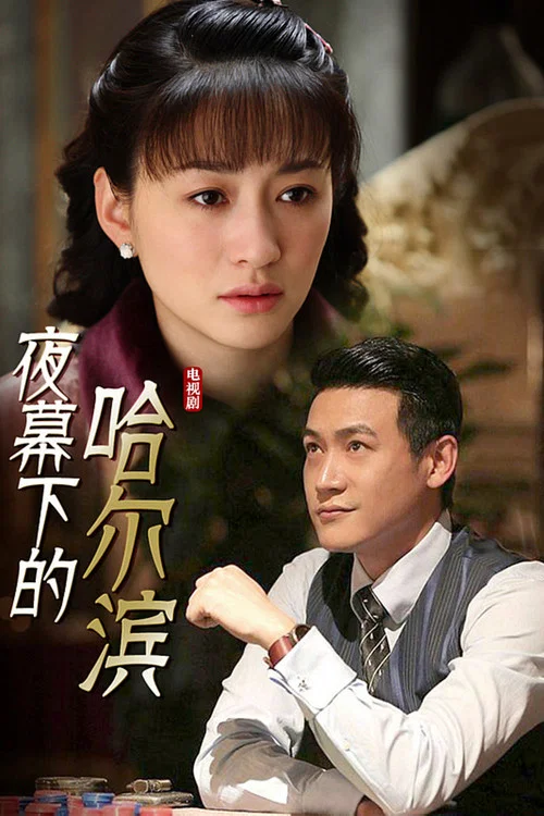 夜幕下的哈爾濱(2008)海報