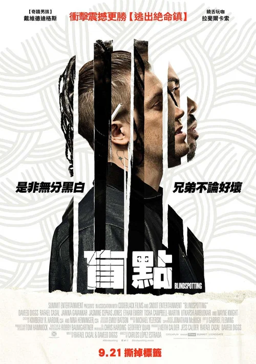盲点(2018)海报