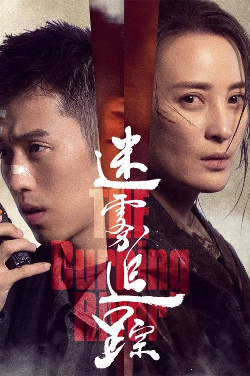 迷霧追蹤劇照3