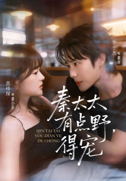 秦太太有点野,得宠(2026)海报