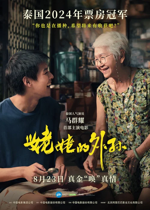 姥姥的外孙剧照4
