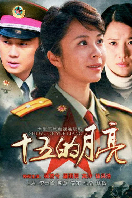 我是月亮海报