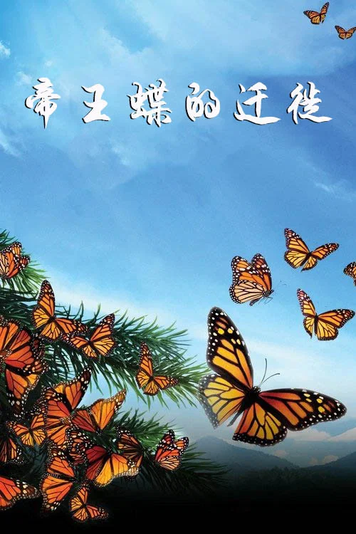 帝王蝶的迁徙剧照2