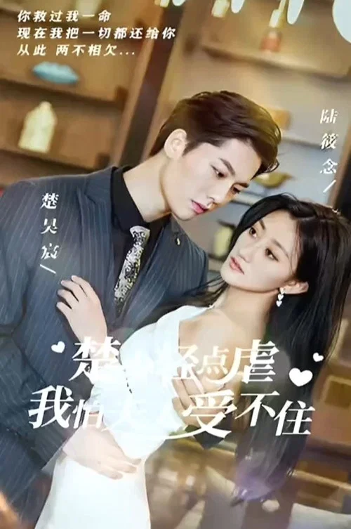 楚少輕點虐,我怕夫人受不住(2023)海報