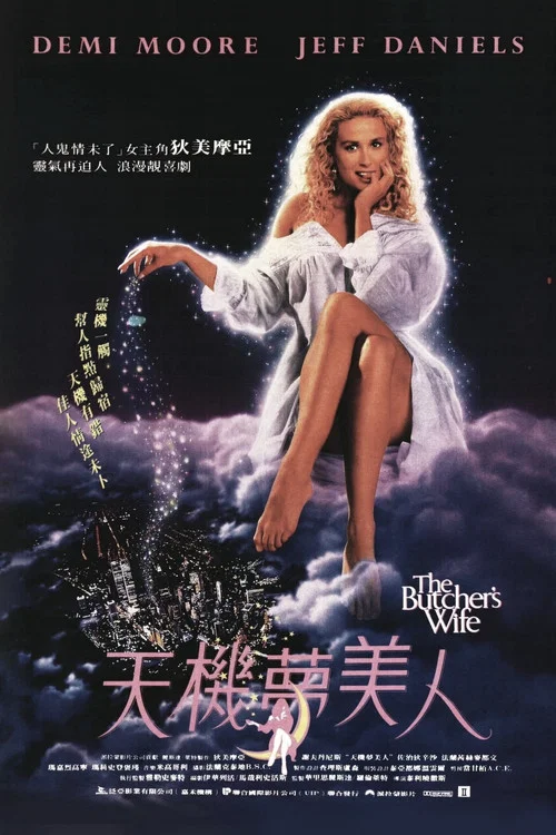 天機夢美人(1991)海報