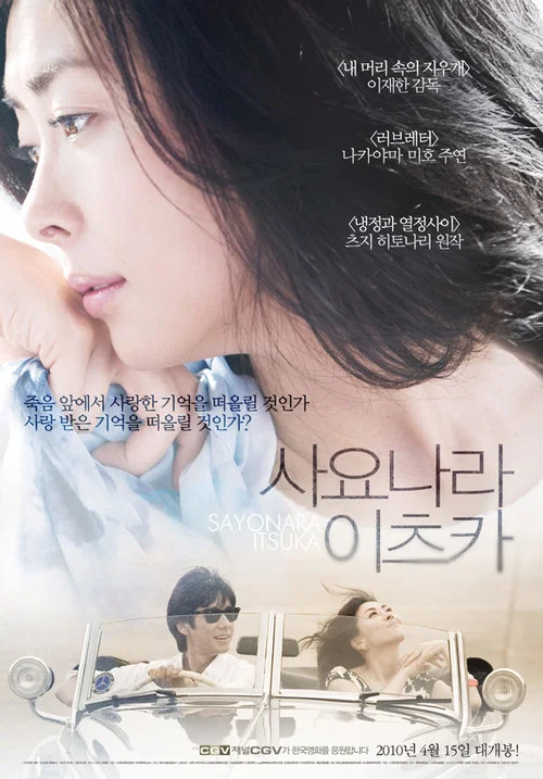 再見,總有一天(2010)海報