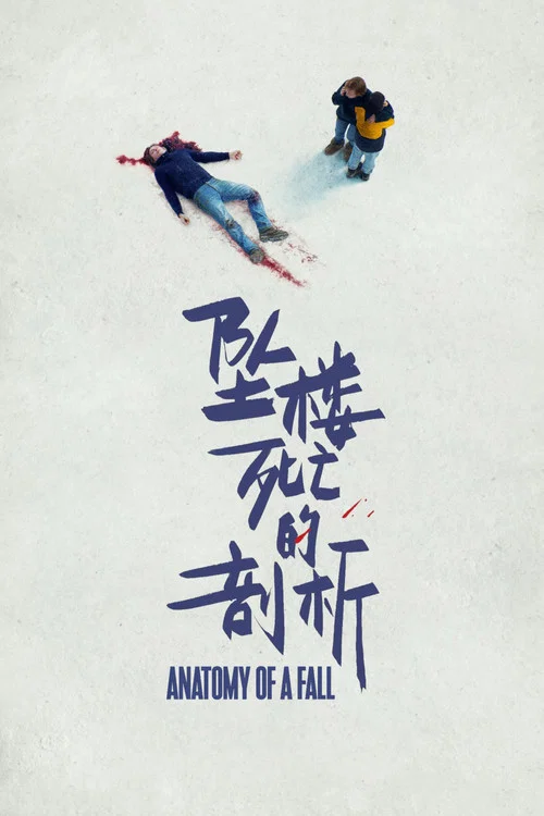 坠落的审判剧照13