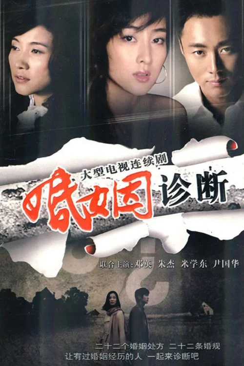 夫妻的春天(2010)海报